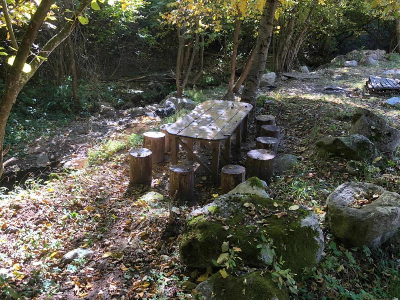 Vila Idila Crni Vrh Buitenkant foto