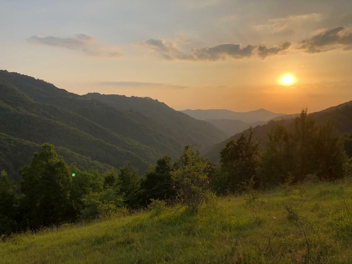 Vila Idila Crni Vrh Buitenkant foto